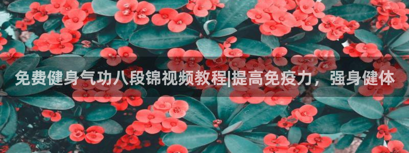 龙8国际唯一官网