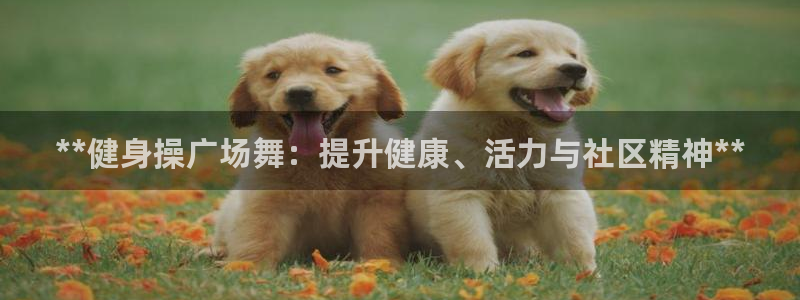 龙8国际是什么