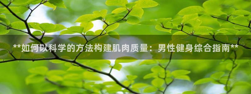 龙八国际官网下载