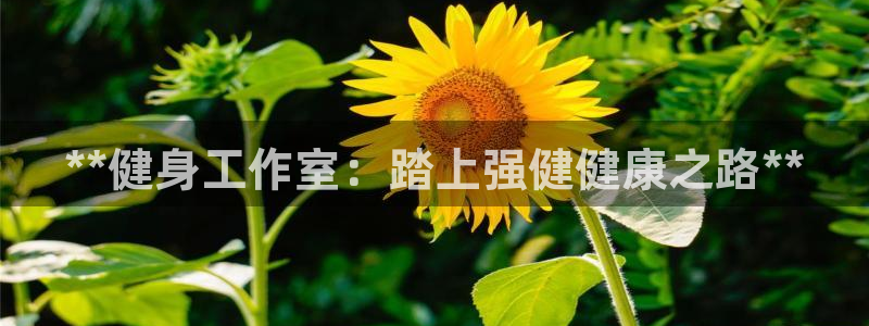 龙8国际官方网站