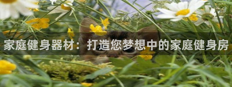 龙8国际官方网站手机版