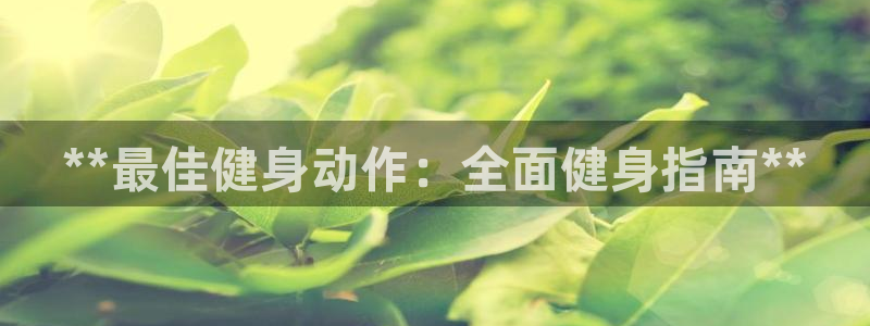 龙八国际2018最新官网