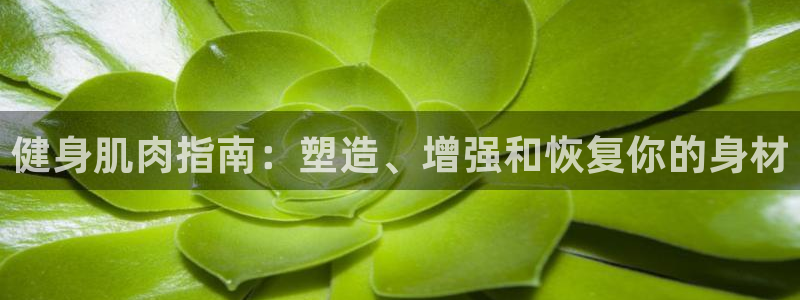 龙八国际娱乐官方网站