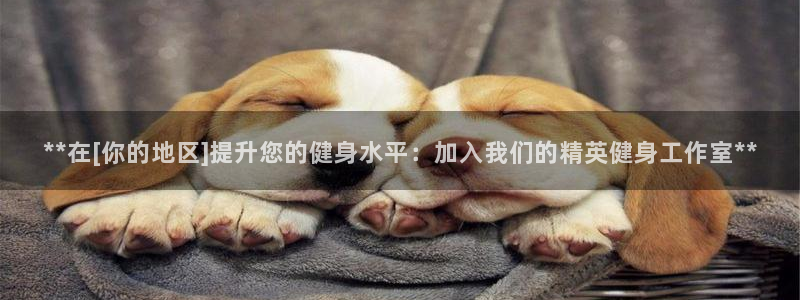龙八国际首页