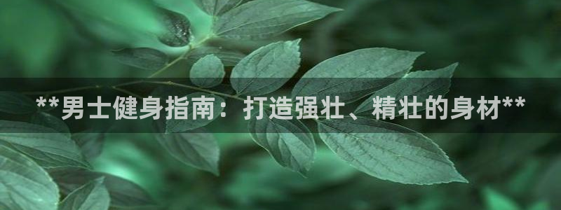 龙8国际手机版官网