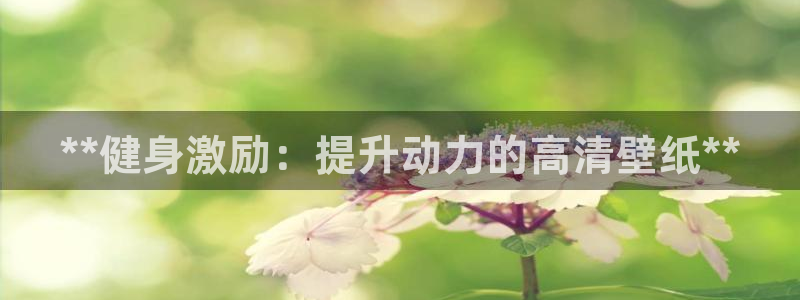 国际龙8hk