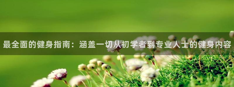 龙8国际服
