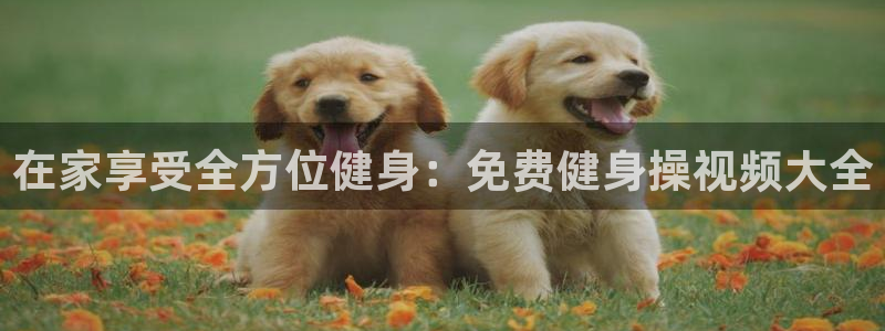 龙8国际怎么样