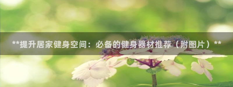 龙八国际app客户端下载不了