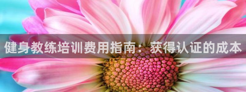 龙8国际官方网站