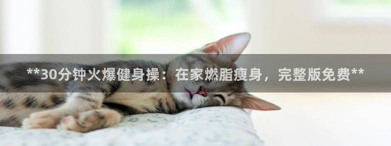 龙8国际的官方网站