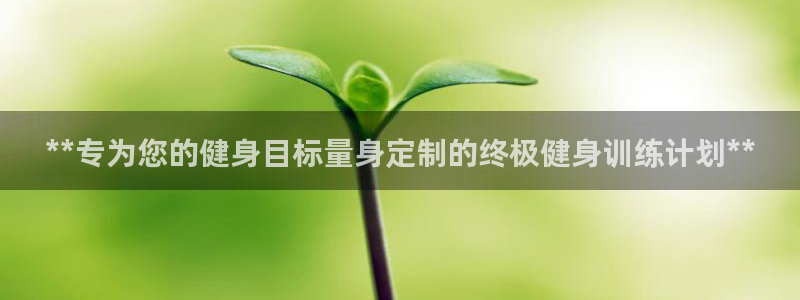 龙8国际网站怎么样