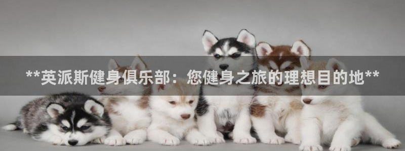 龙8国际龙8官方