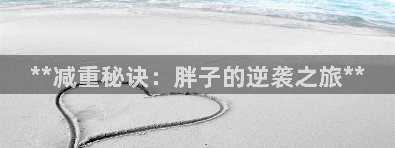 国际龙8hk