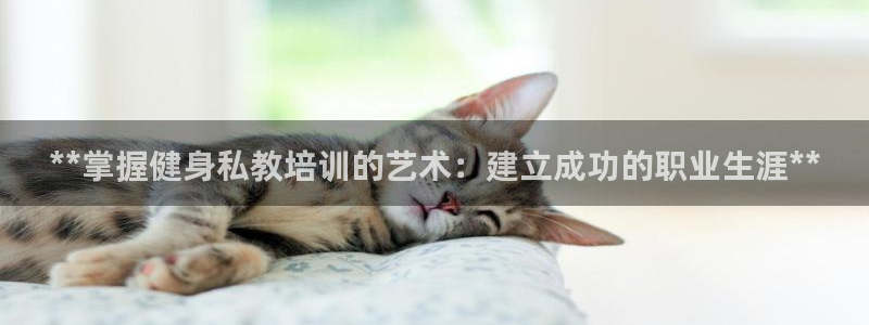 龙 八国际