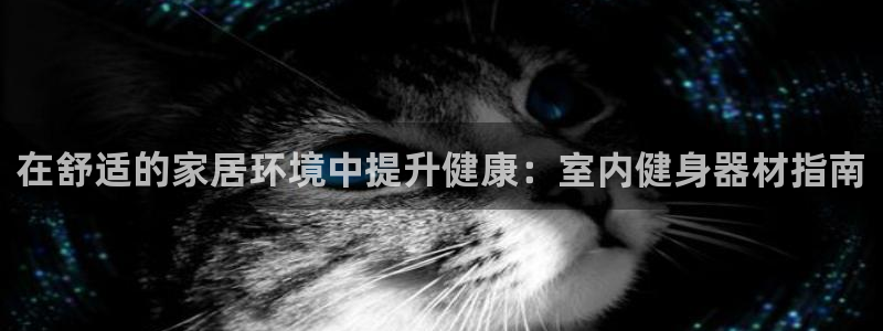 龙8国际是不是黑网