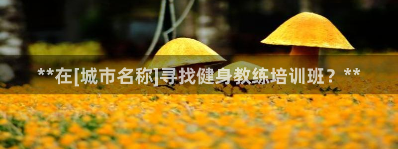 龙8国际怎么样