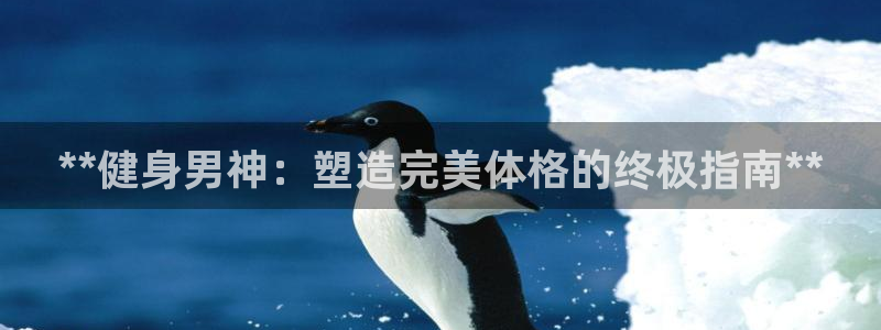 龙8国际app下载手机版