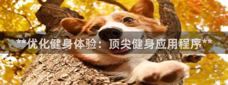 龙八国际娱乐官网app