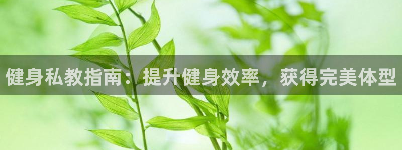 龙8国际2021官方网站pkufli1.291