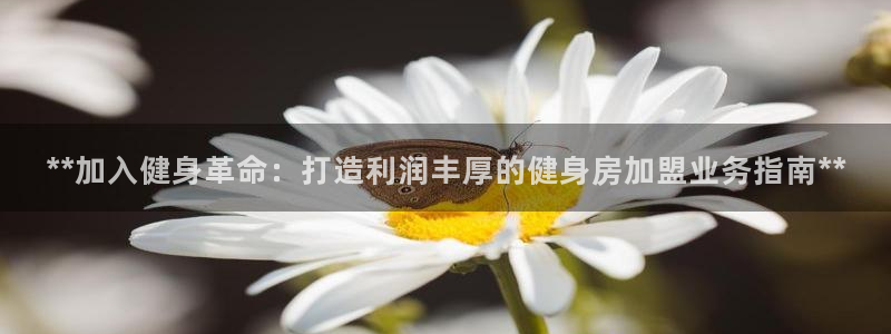 龙8国际手机游戏官网