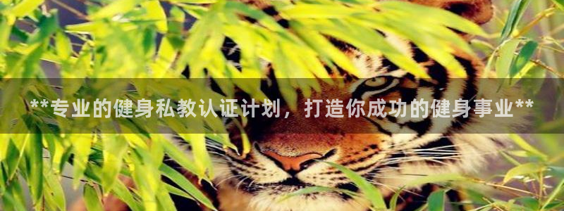 龙8国际app下载官网手机版最新版