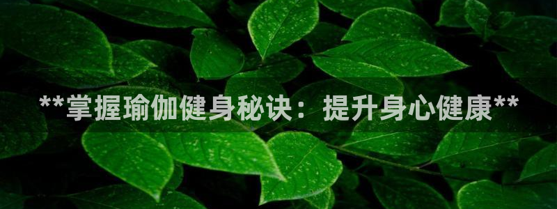 龙8国际试玩