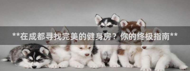 龙8国际官方网站手机版