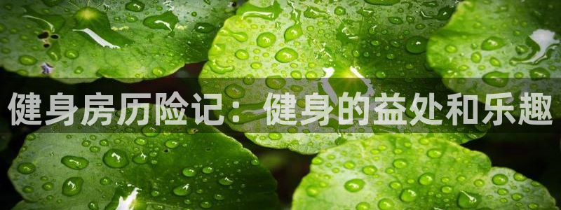 龙8国际手机登