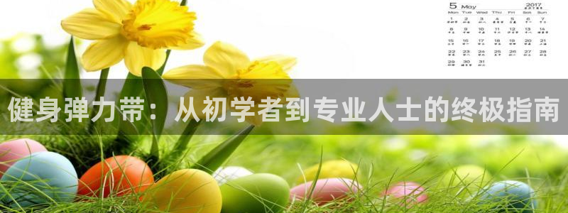 龙8国际登入