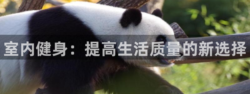 龙八国际2018最新官网