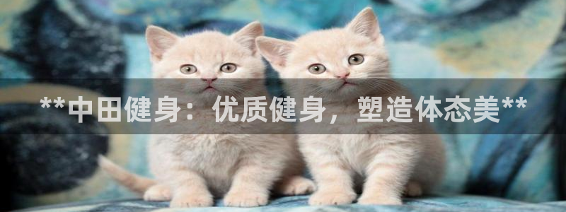 龙8老虎机网络游戏