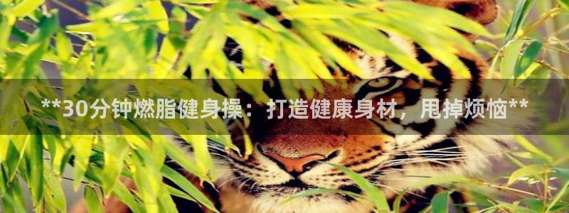 龙8国际网址是什么
