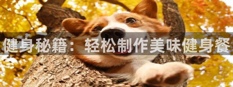 龙8老虎机手机版