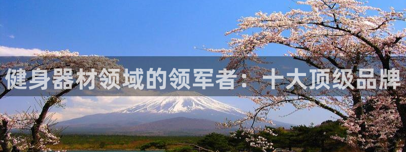 龙8游戏客户端