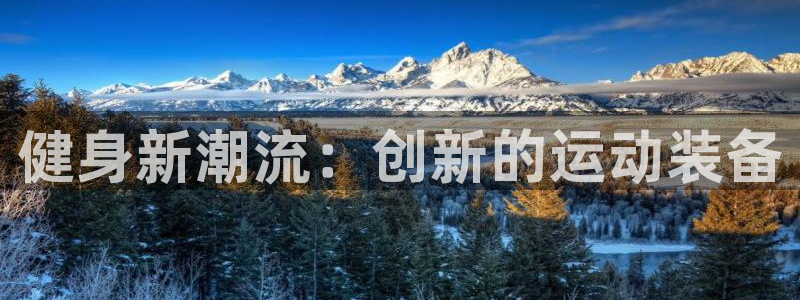 龙八国际唯一官网