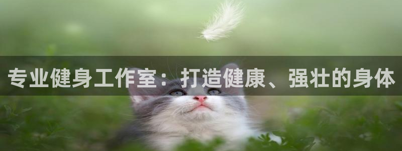 龙8 国际