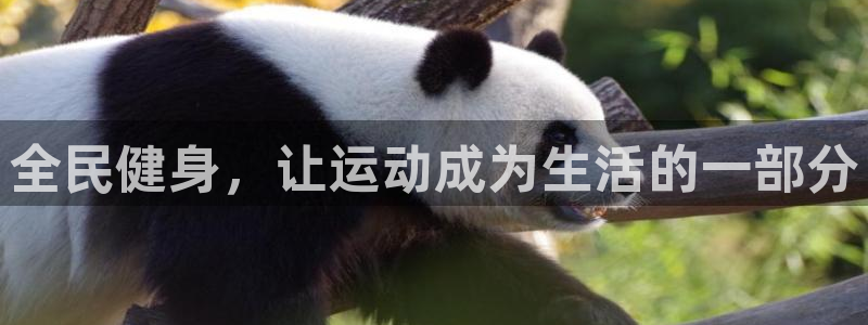 龙8国际官方网站