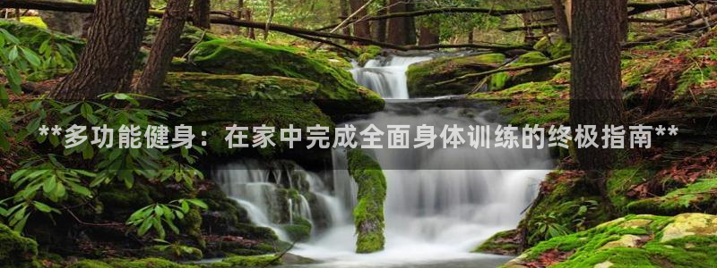 国际龙8hk