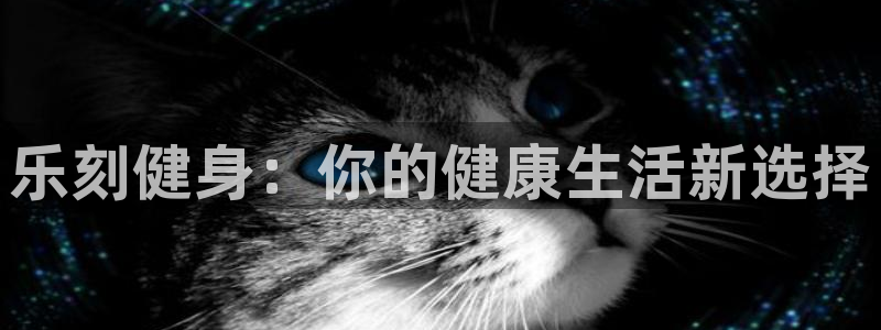 龙8手机游戏官网