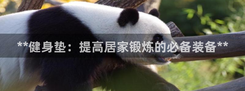 龙8国际的官网