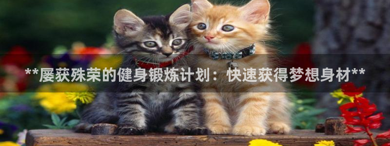 龙8国际游戏