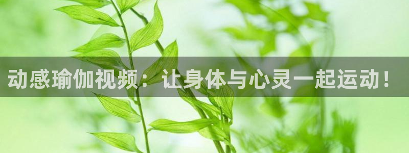 龙8国际老虎机电子