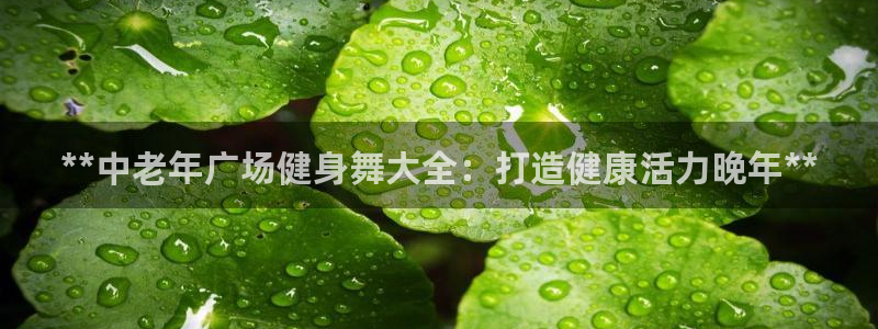 龙8国际登入