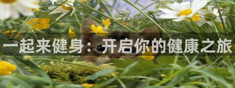 龙8国际备用