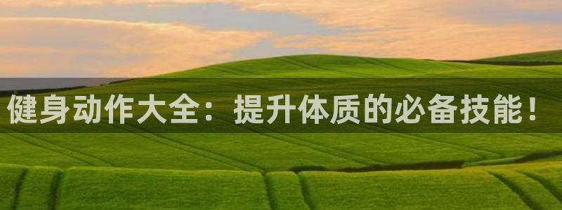 龙8国际pt网址官方