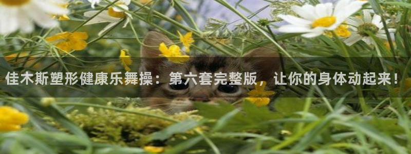 龙8官网游戏
