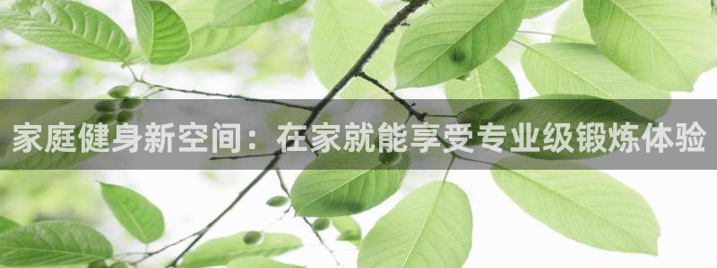 龙8国际网址