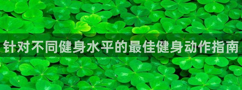 龙8国际为啥改名叫头号玩家了