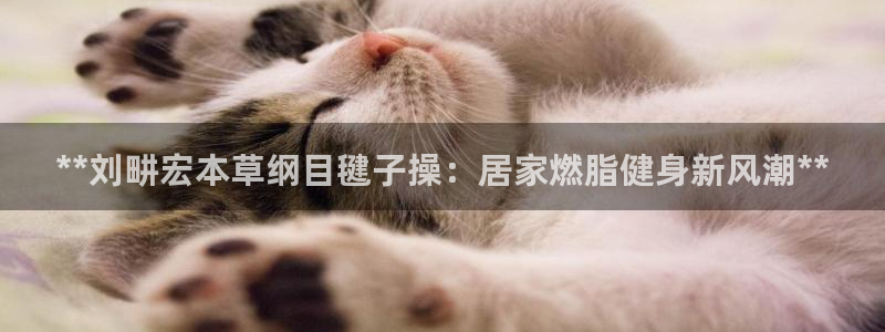 龙8国际手机版官网下载